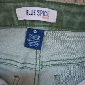 Blue Spice Light Green Denim Shorts
